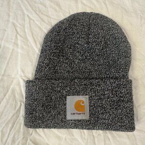 Carhartt Winter Hat